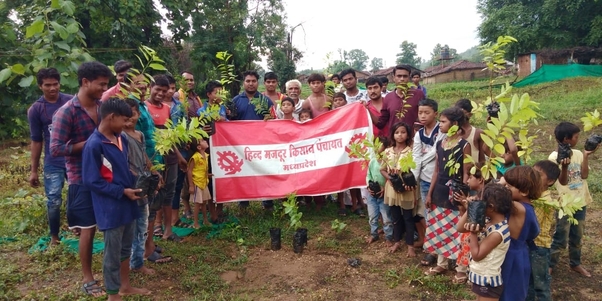 विश्व आदिवासी दिवस पर हिंद मजदूर किसान पंचायत युवा इकाई ने 1000 पौधों से किया वृक्षारोपण