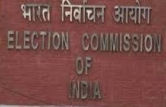 भारत निर्वाचन आयोग के आमंत्रण पर, 23 देशों के चुनाव प्रबंधन निकायों से 75 अंतर्राष्ट्रीय आगंतुक दुनिया के सबसे बड़े चुनावों को देखने आए: 