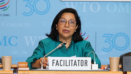 WTO न्यूज़ (विवाद निपटान): समन्वयक, सह-संयोजकों ने विवाद समाधान सुधार कार्य पर सदस्यों को जानकारी दी