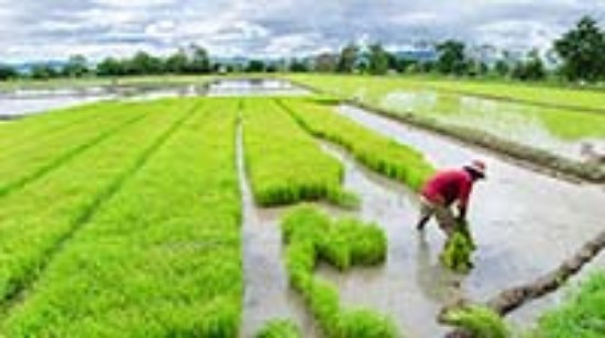 WTO न्यूज़ (व्यापार और विकास): सदस्य विकासशील अर्थव्यवस्थाओं के वैश्विक व्यापार में एकीकरण को बढ़ावा देने के तरीकों पर विचार कर रहे हैं