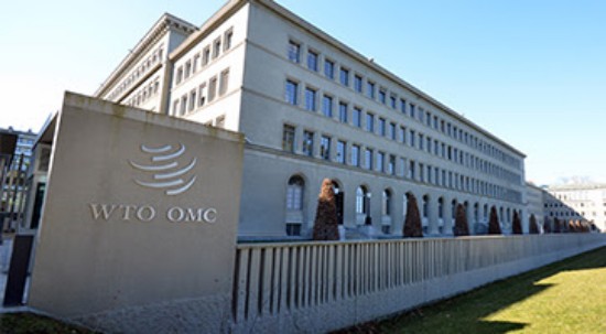 WTO न्यूज़ (महानिदेशक चयन प्रक्रिया): महानिदेशक पद के लिए नामांकन बंद; नगोजी ओकोन्जो-इवेला एकमात्र उम्मीदवार के रूप में पुष्टि की गईं